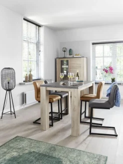 Barkruk Pareda cognac