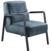 Fauteuil Safira blauw