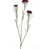 Kunstboem Centaurea rood